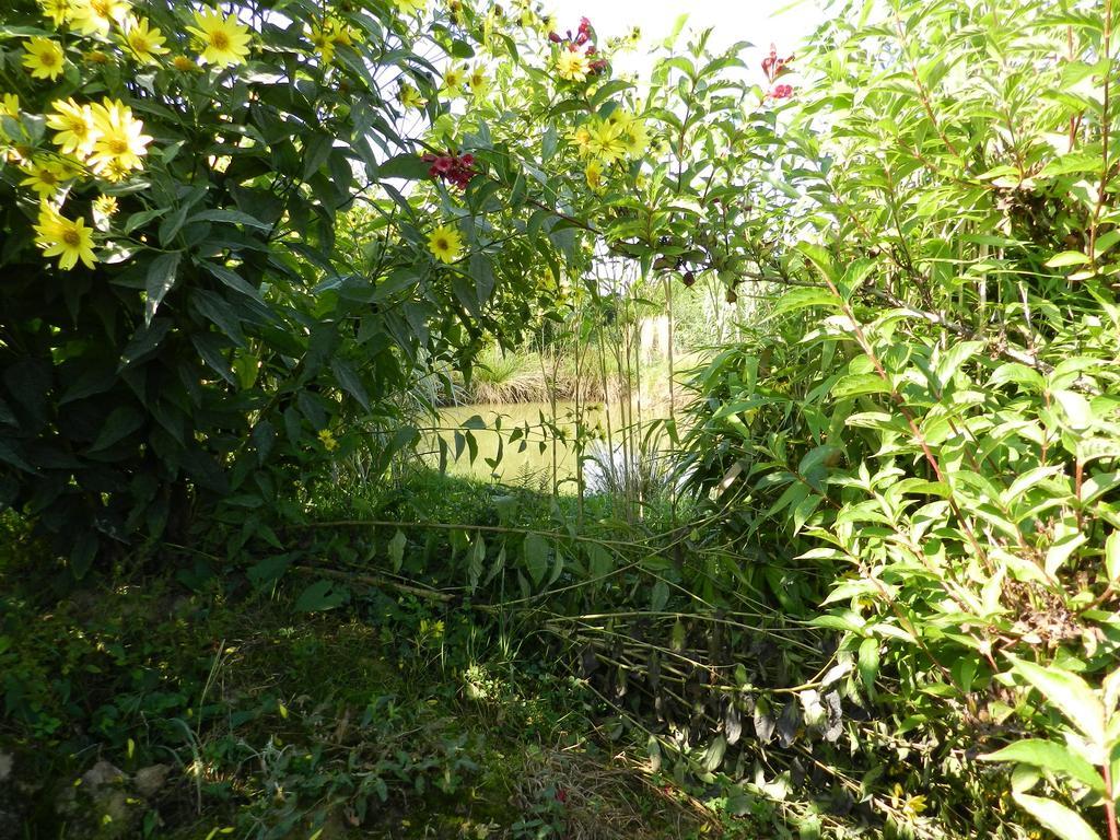 Gite La Grenouillere Esqueheries Bagian luar foto