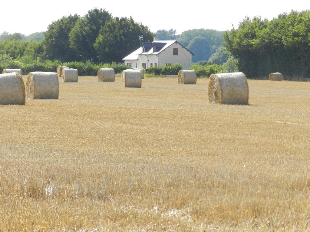Gite La Grenouillere Esqueheries Bagian luar foto
