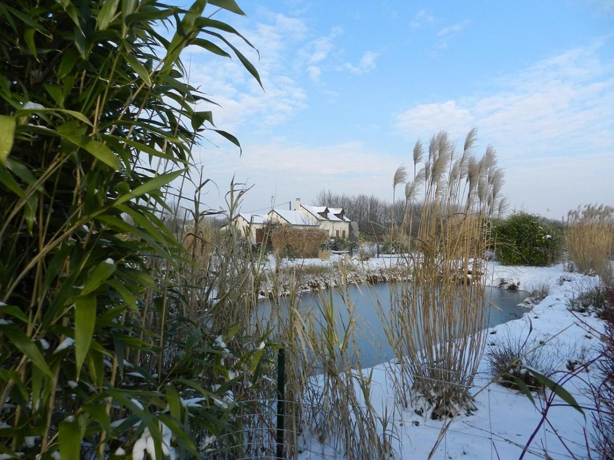 Gite La Grenouillere Esqueheries Bagian luar foto